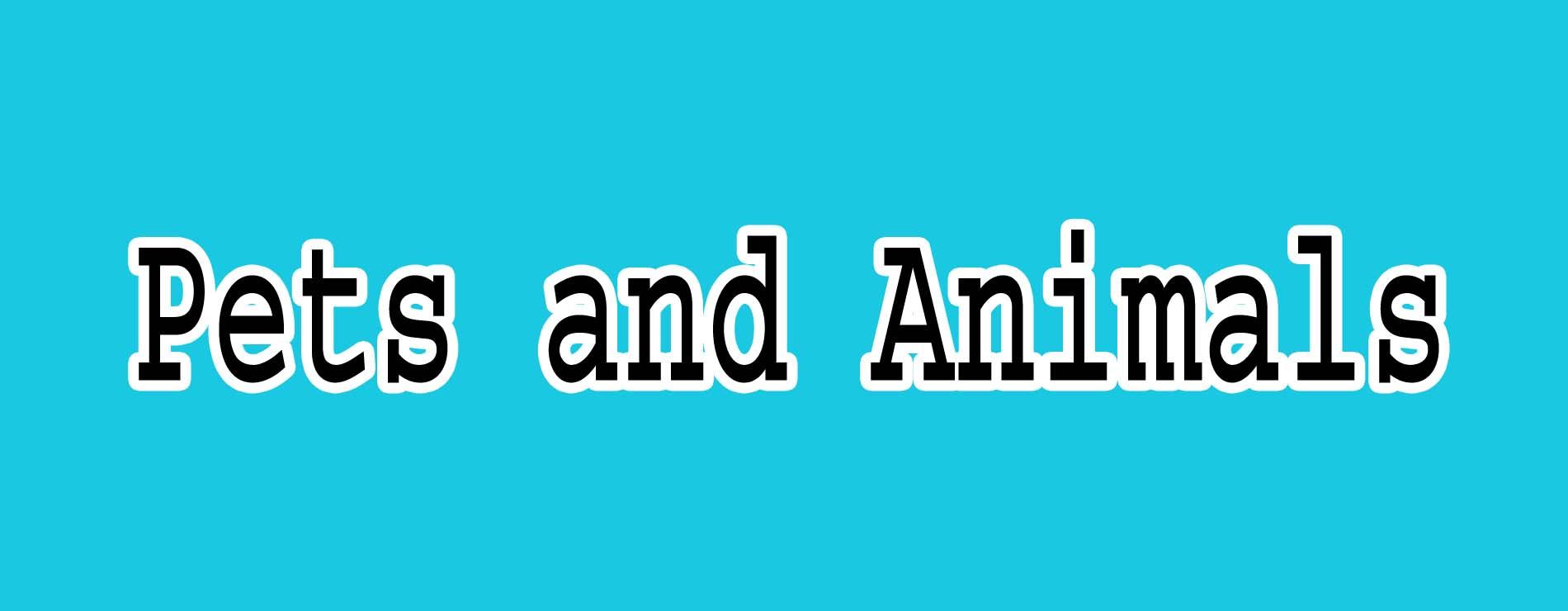 Pets and Animals